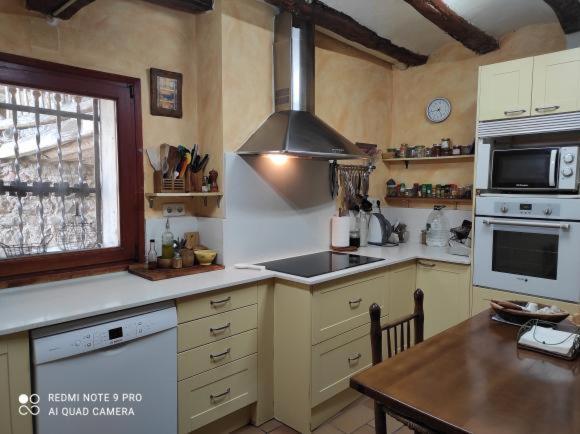 Casa Rural Vilaspasa, Alquiler Integro Gotarta المظهر الخارجي الصورة